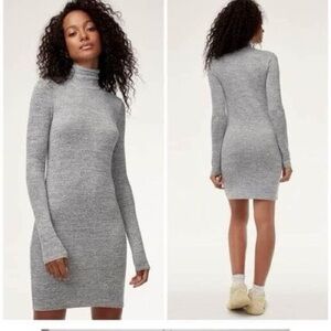 Aritzia Wilfred Free Grey Turtleneck Sasha Dress